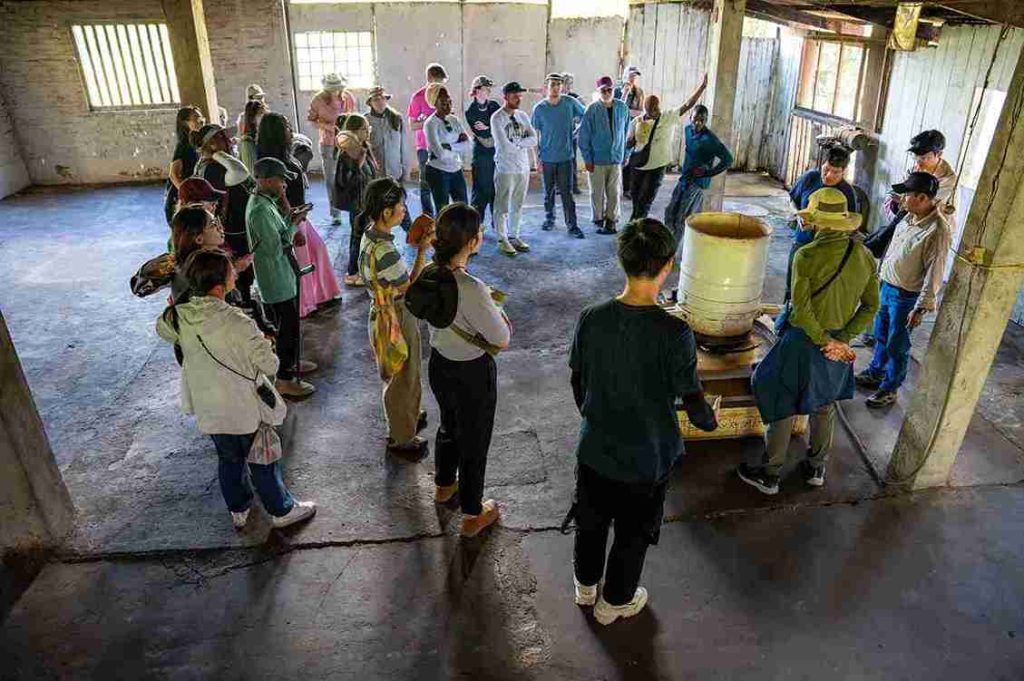 fabrica01 16 11zon 1 11zon