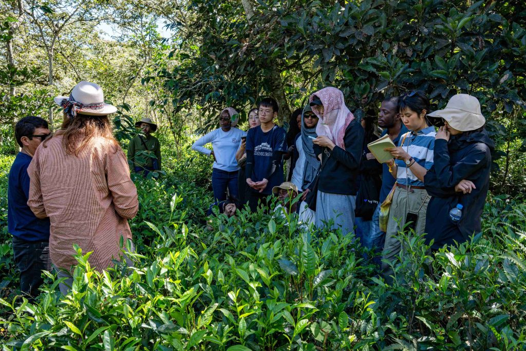 vic6931 enhanced nr vic6931 enhanced nr