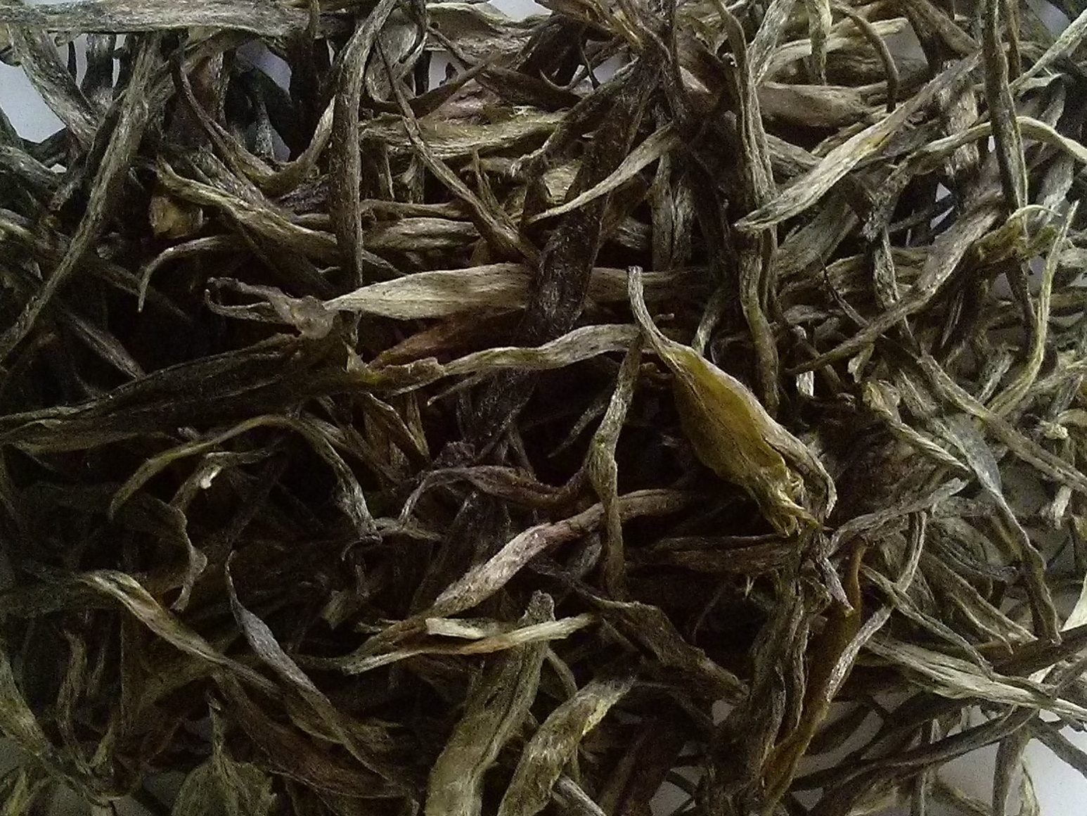 te blanco-min Te Blanco Min Edited